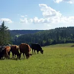 Lippenhof - Unter Der Linde Appartement