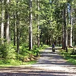 Lippenhof - Unter Der Linde Unterkirnach