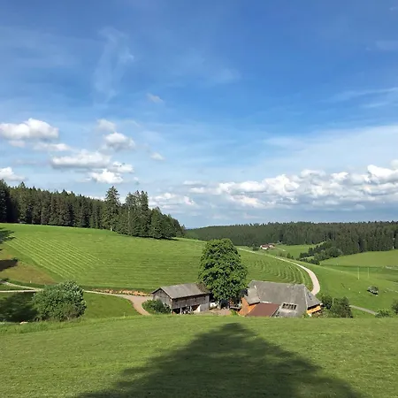 Unter Der Linde Apartment