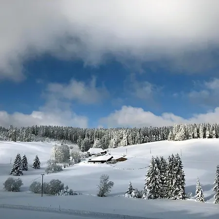 Lippenhof - Unter Der Linde Daire *