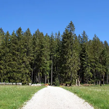 Apartamento Lippenhof - Unter Der Linde Unterkirnach