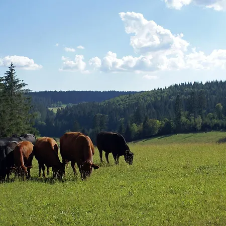 Daire Lippenhof - Unter Der Linde Unterkirnach