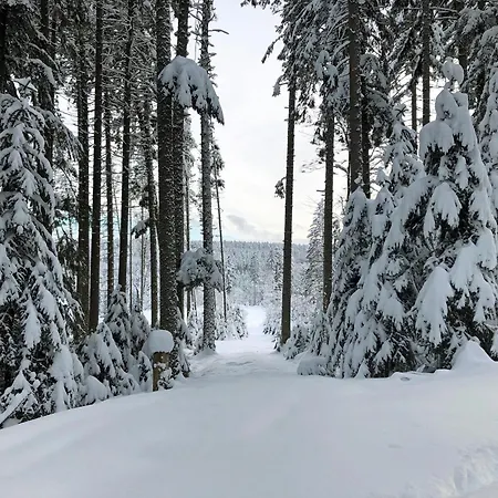 Lippenhof - Unter Der Linde Daire