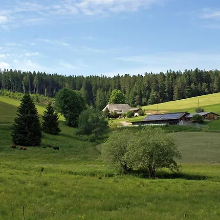 Lippenhof - Unter Der Linde Appartement Unterkirnach