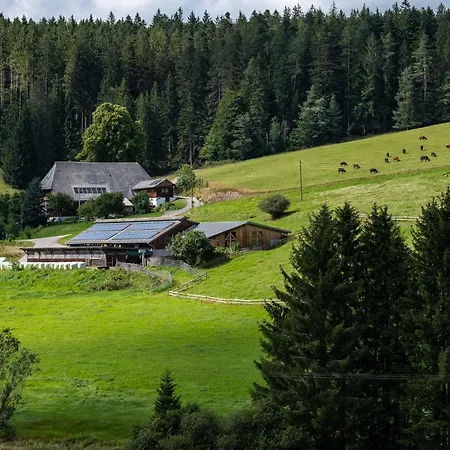 Appartement Lippenhof - Unter Der Linde Unterkirnach