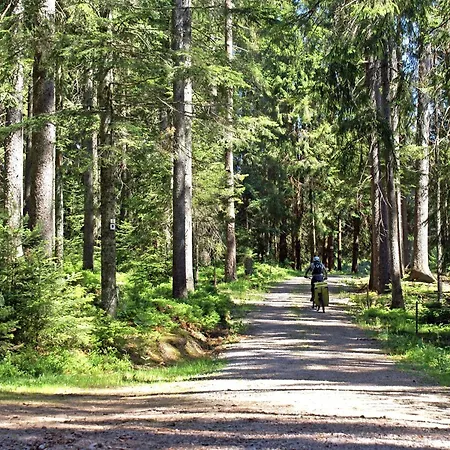 Lippenhof - Unter Der Linde Unterkirnach