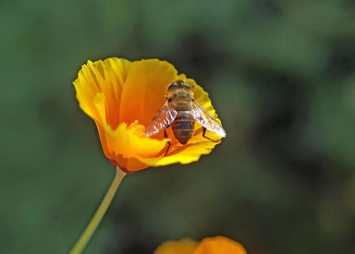 Apartamento Lippenhof - Unter Der Linde *