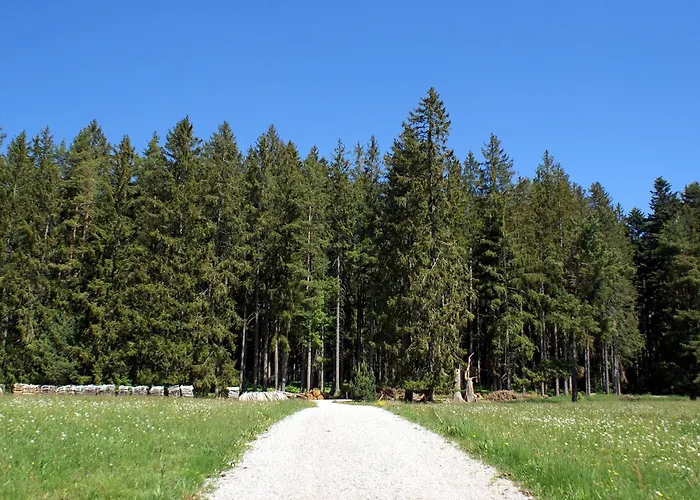Appartement Lippenhof - Unter Der Linde Unterkirnach
