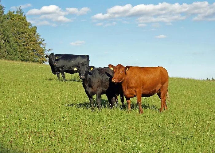 Lippenhof - Unter Der Linde Apartamento *