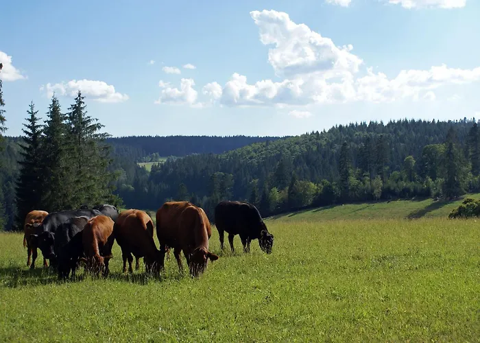 Apartamento Lippenhof - Unter Der Linde Unterkirnach